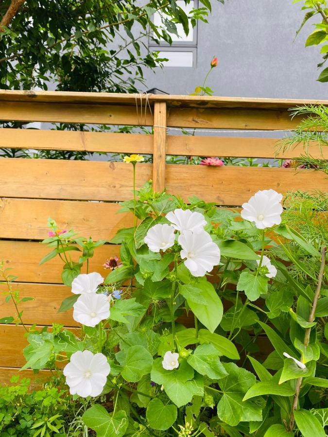 Lovely II Space Share A Room East York Canada Toronto Exteriör bild